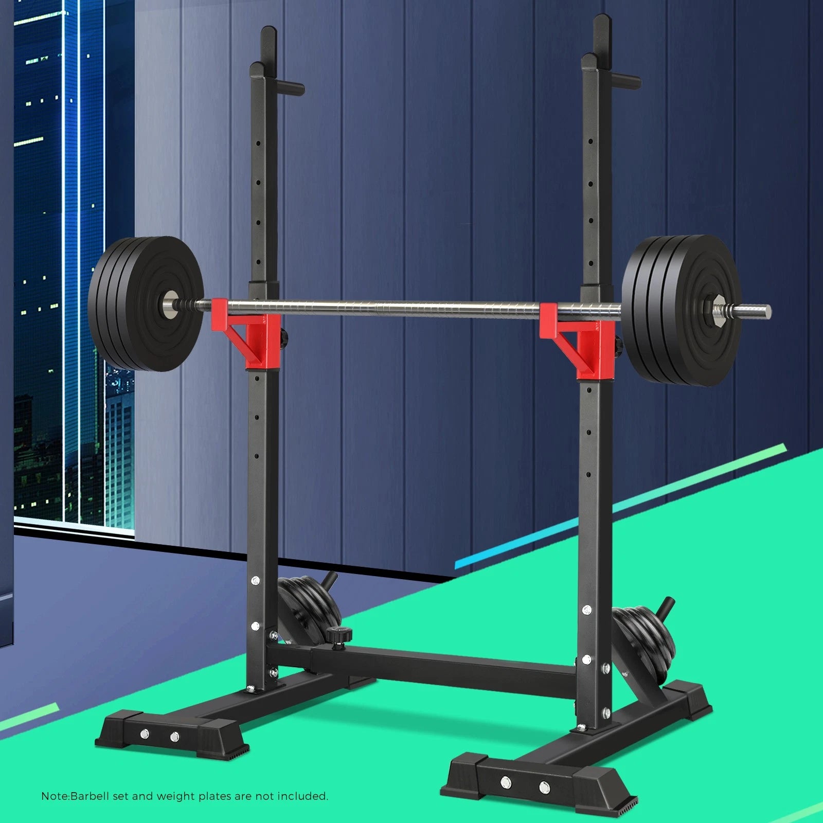 Terra Wellness Squat Rack: Build Strength Train Safely