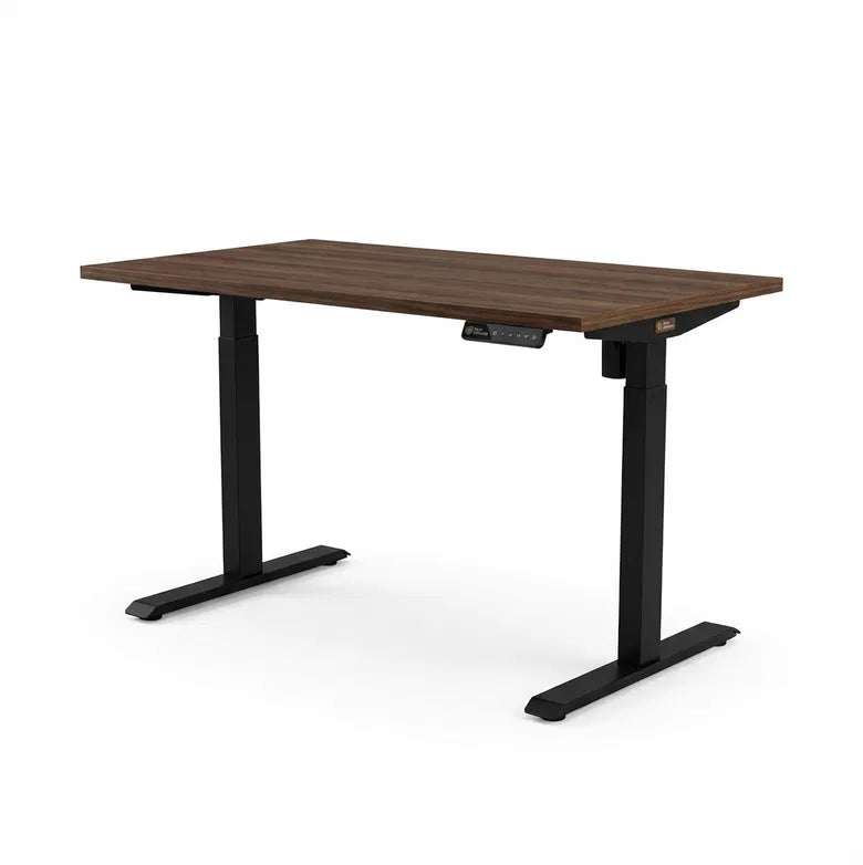 Ergonomic Standing Desk  – Boost Posture, Elevate Productivity