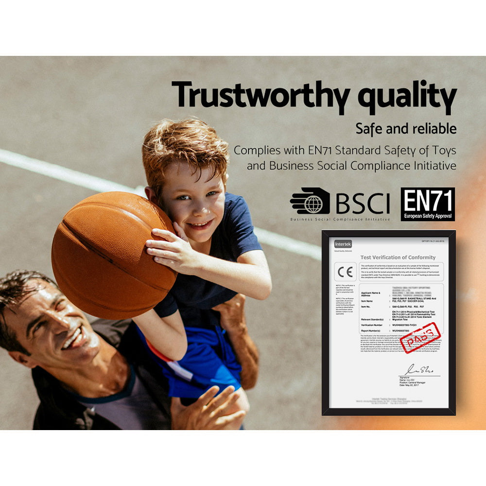 Basketball Hoop - Turn Your Driveway Into a Court