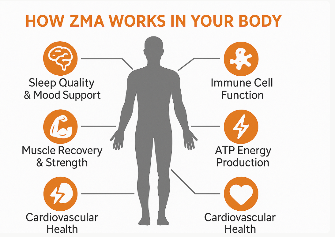 Stress & Anxiety Relief