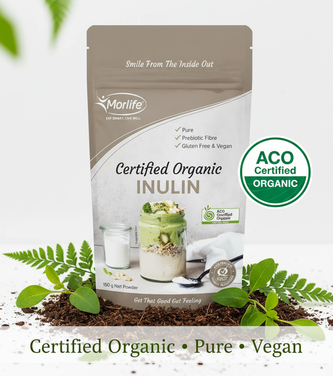 Gut Health & Digestion