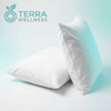 Waterproof Pillow Protectors (2-Pack) - Block Allergens, Sleep Cleaner