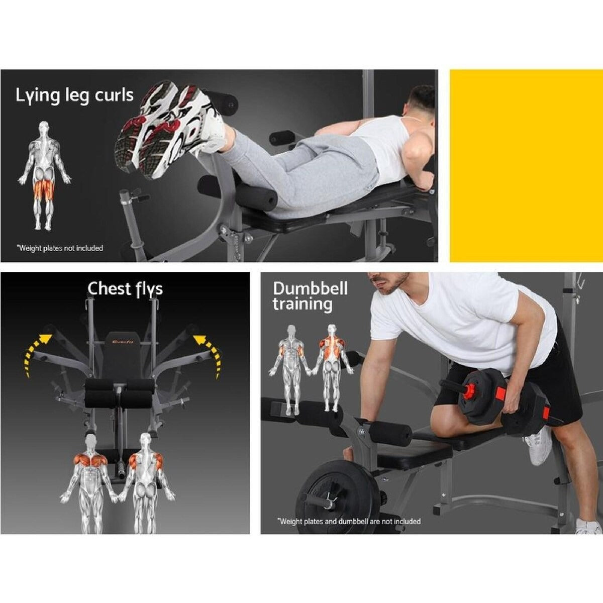 Weight bench used for bench press and strength training in home gym setup